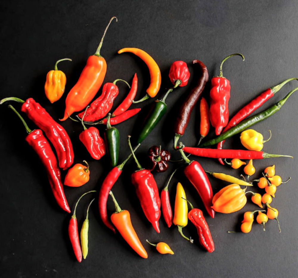 Chili peppers/ Pilipili kali